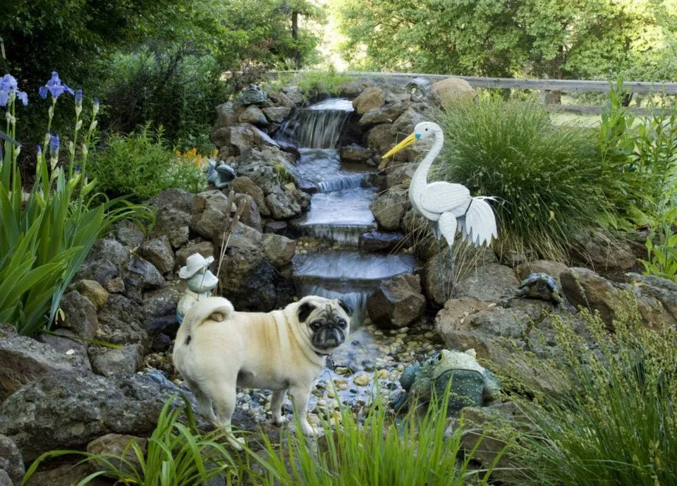 Reliable lawn mowing service in Meadow Vista, CA - Cascade Gardens