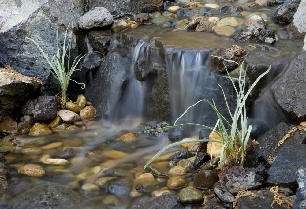 Top-rated garden landscaping in Meadow Vista, CA - Cascade Gardens