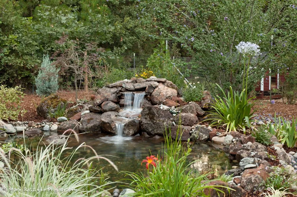 Affordable lawn care service near you across Meadow Vista, CA - Cascade Gardens