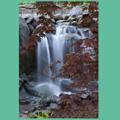 Reliable lawn care service for outdoor upgrades across Meadow Vista, CA - Cascade Gardens