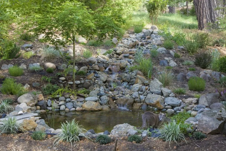 Reliable yard cleanup service for outdoor upgrades across Meadow Vista, CA - Cascade Gardens