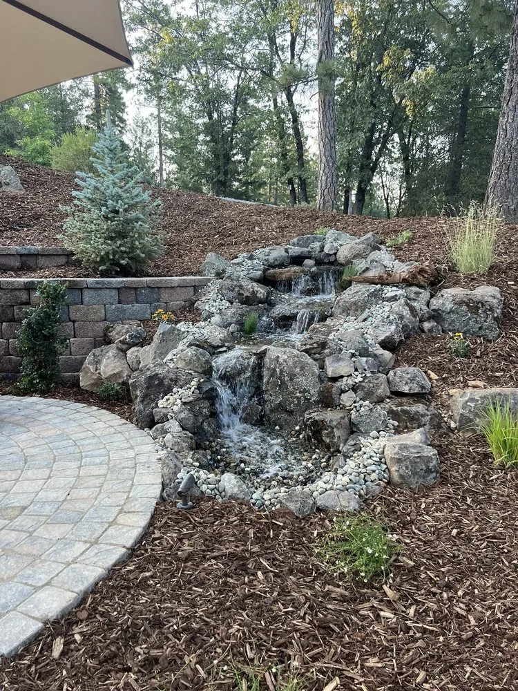 Local yard maintenance experts serving Meadow Vista, CA - Cascade Gardens