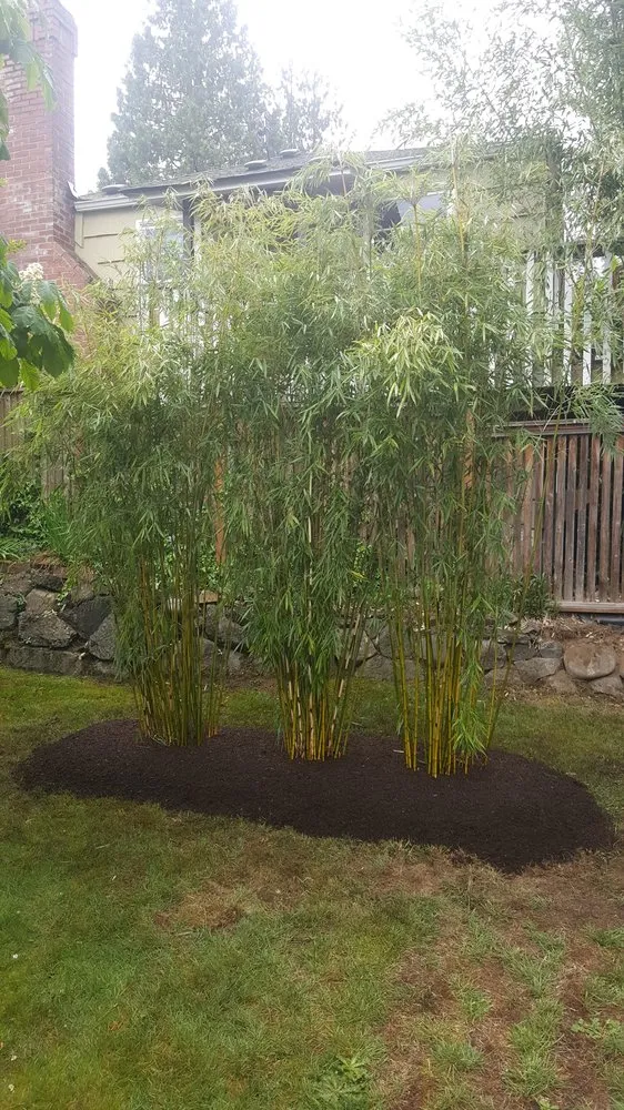 Custom residential landscaping in Seattle, WA by Cascade Gardens