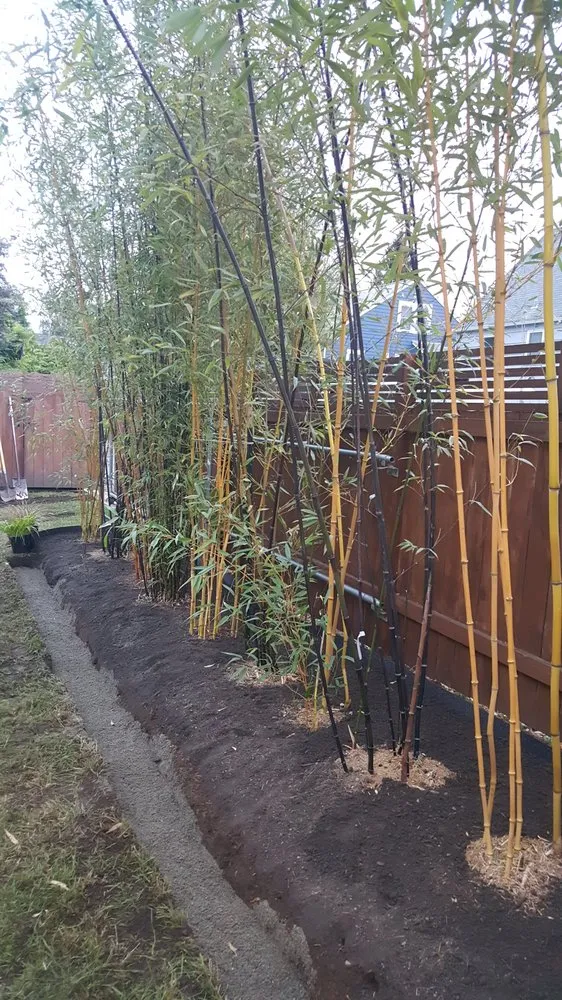 Custom lawn care service for homes in Seattle, WA by Cascade Gardens