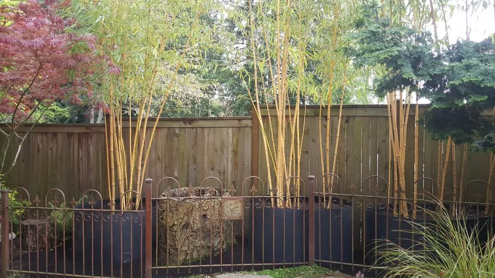 Local lawn care service experts serving Seattle, WA - Cascade Gardens