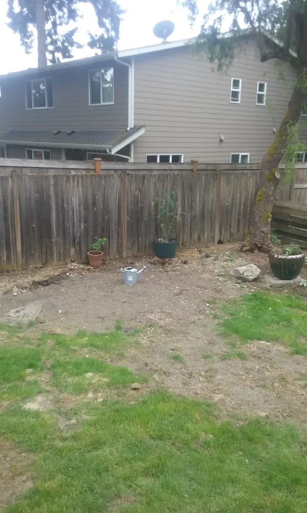 Trusted lawn care service in Seattle, WA - Cascade Gardens