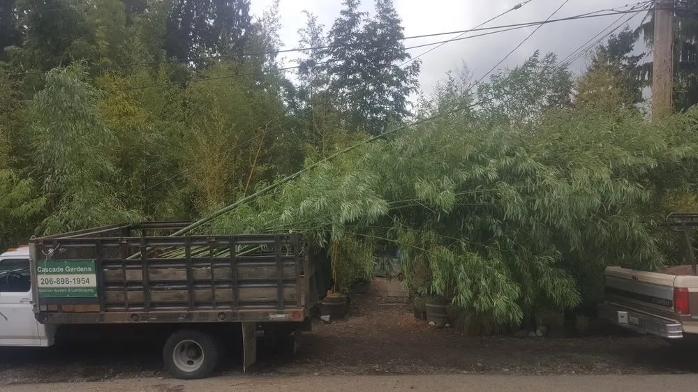 Affordable yard maintenance for homes in Seattle, WA by Cascade Gardens