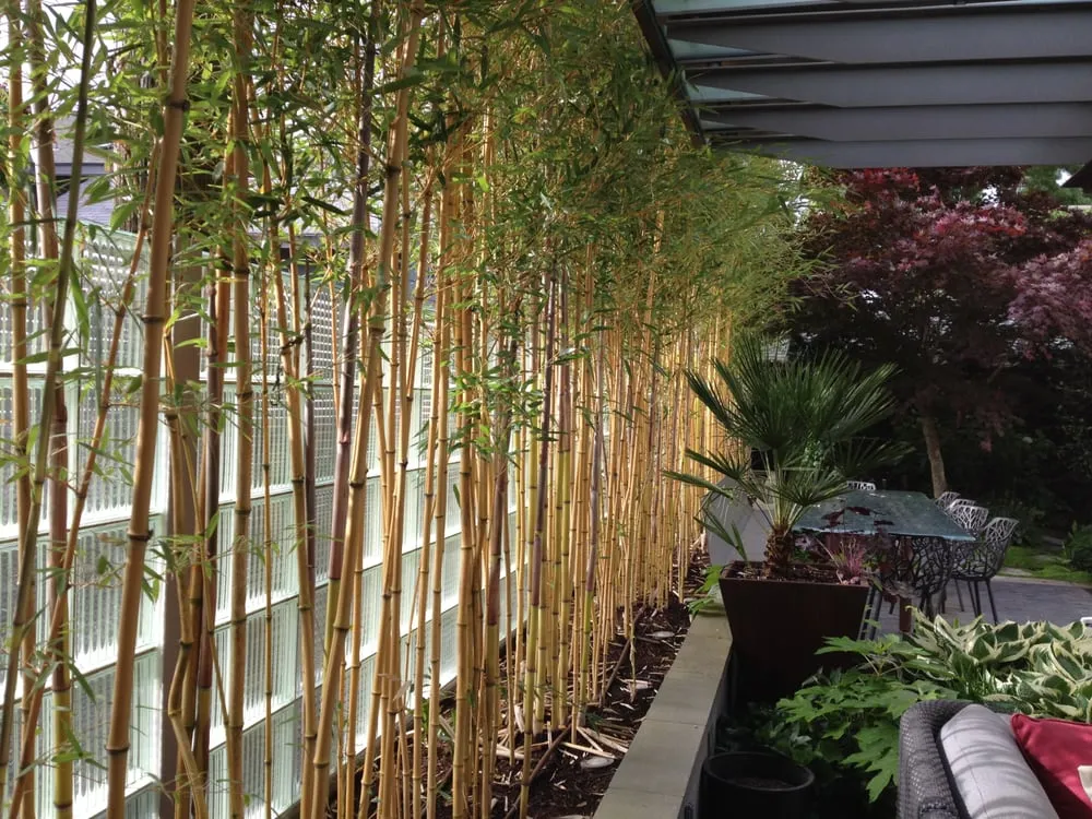 Local lawn mowing service experts serving Seattle, WA - Cascade Gardens