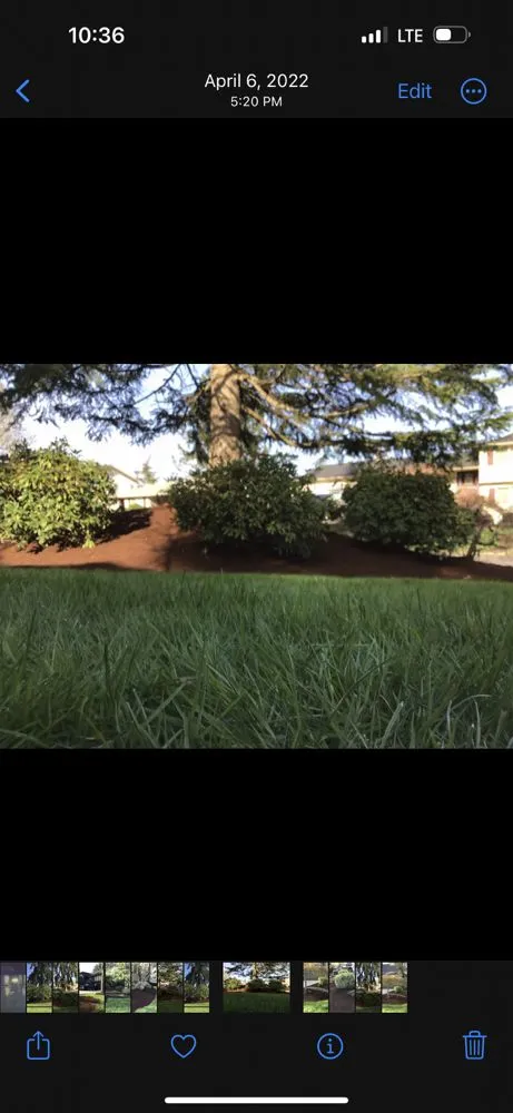 Reliable landscaping services experts serving Cascade Locks, OR - Cascade Land and Tree