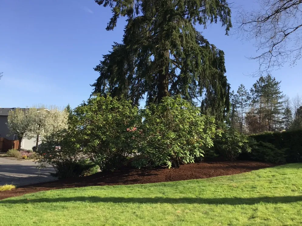 Top-rated yard maintenance experts serving Cascade Locks, OR - Cascade Land and Tree