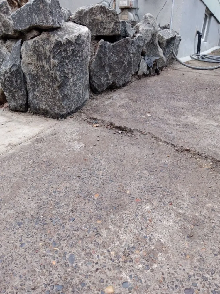 Professional yard cleanup service for homes in Oregon City, OR by Cascade Land and Tree