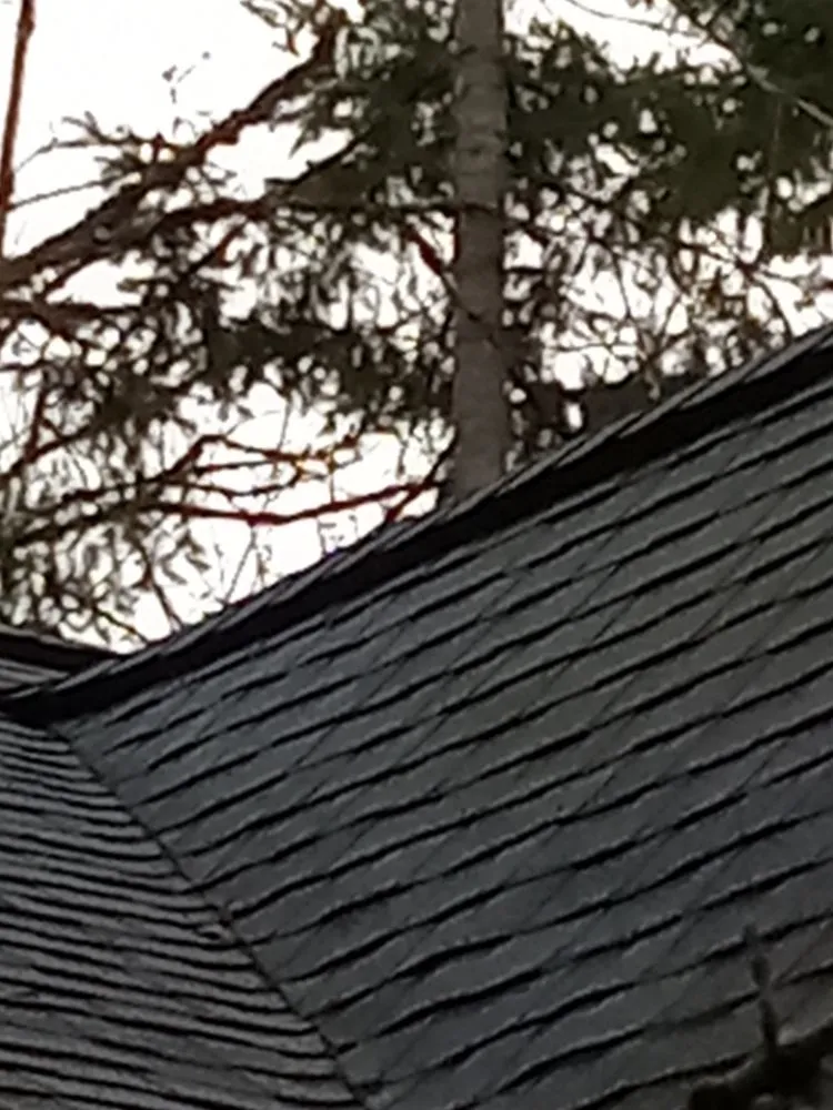 Top-rated yard cleanup service in Oregon City, OR by Cascade Land and Tree