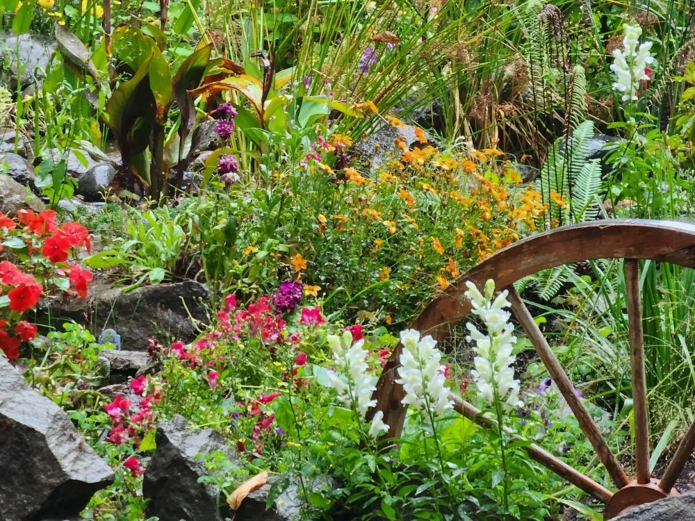 Custom yard maintenance in Florence, OR by Cascade land maintenance