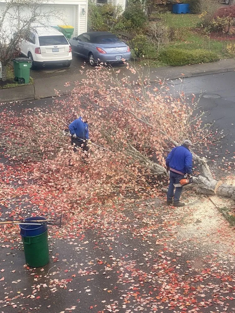 Professional landscape design near you across Sherwood, OR - Cascade Landscape & Construction