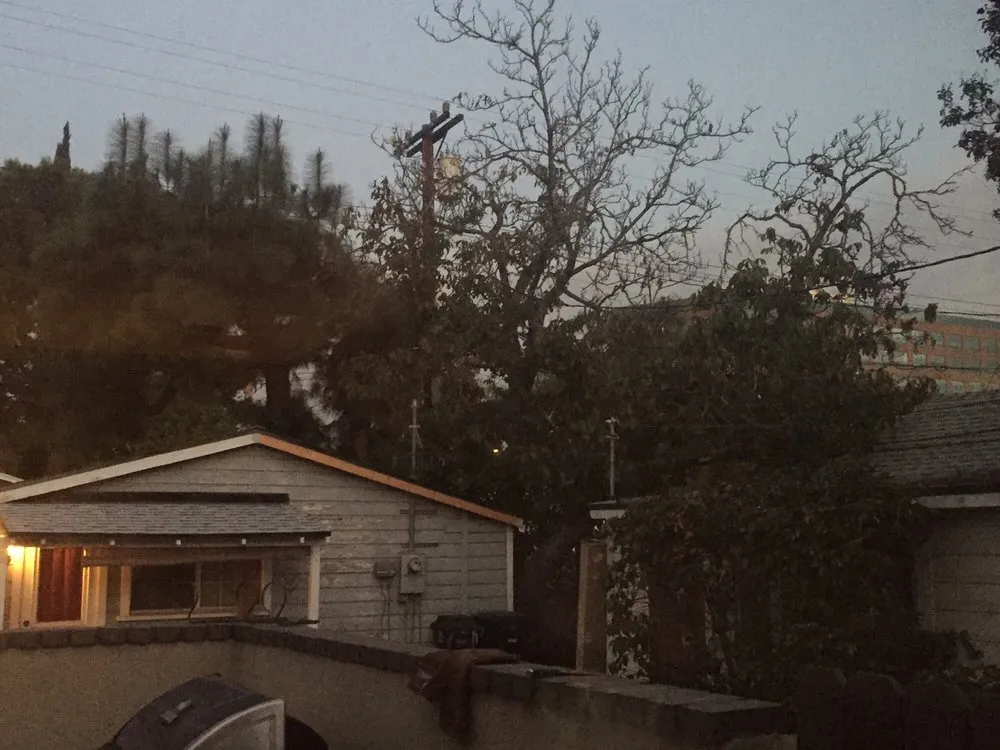 Trusted yard cleanup service in Sylmar, CA - Cascade Landscaping and Tree Service