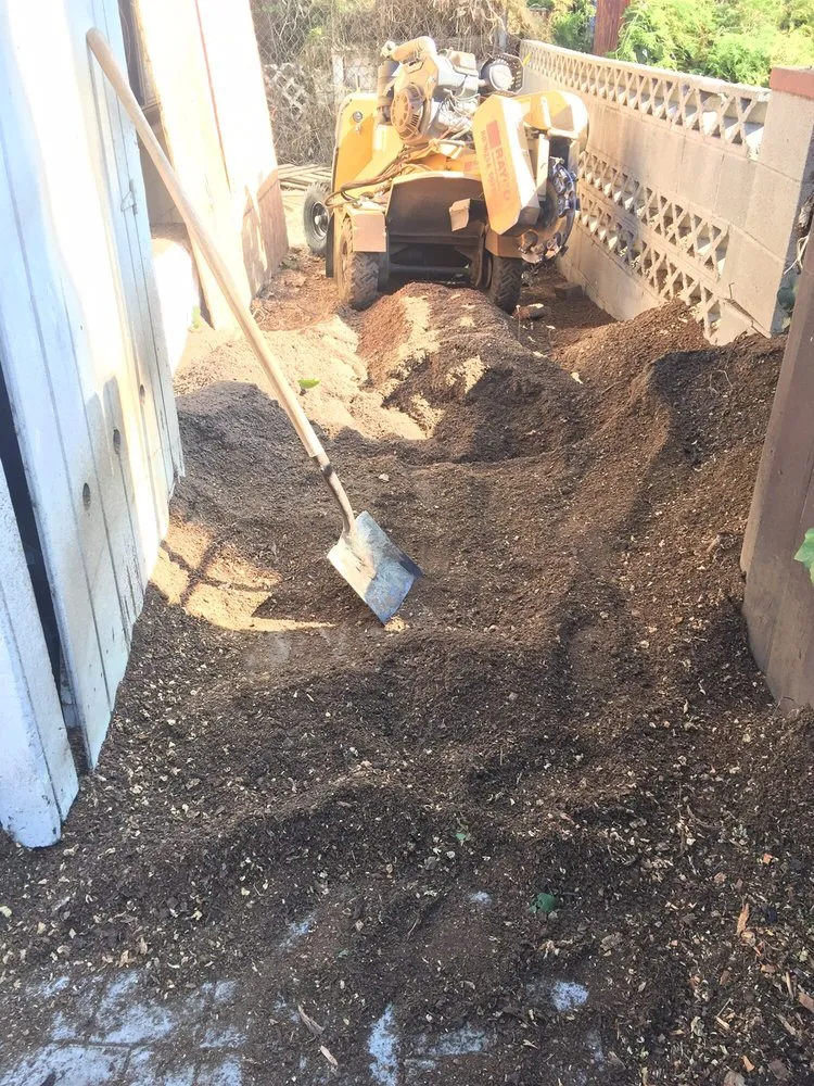 Trusted yard cleanup service experts serving Sylmar, CA - Cascade Landscaping and Tree Service