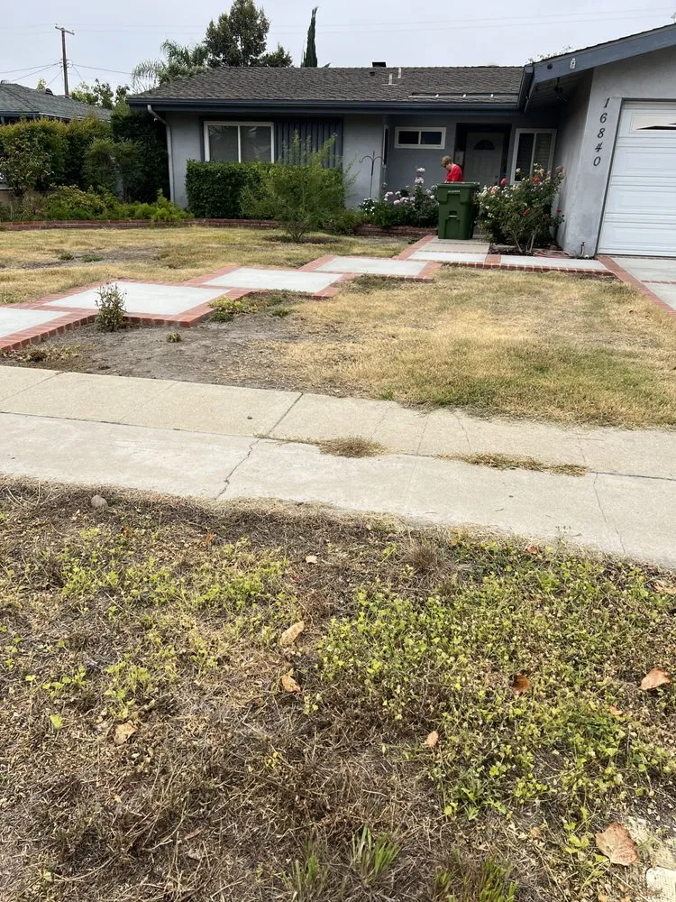 Local landscape design for homes in Sylmar, CA by Cascade Landscaping and Tree Service