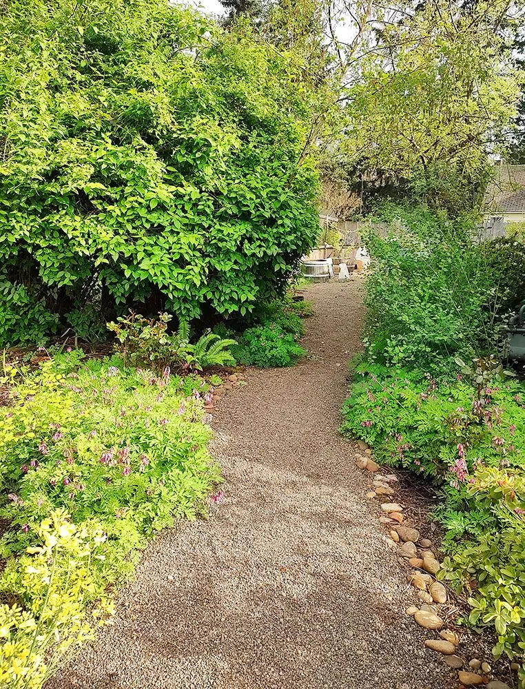 Affordable lawn care service for year-round maintenance in Portland, OR by Cascade Naturescapes