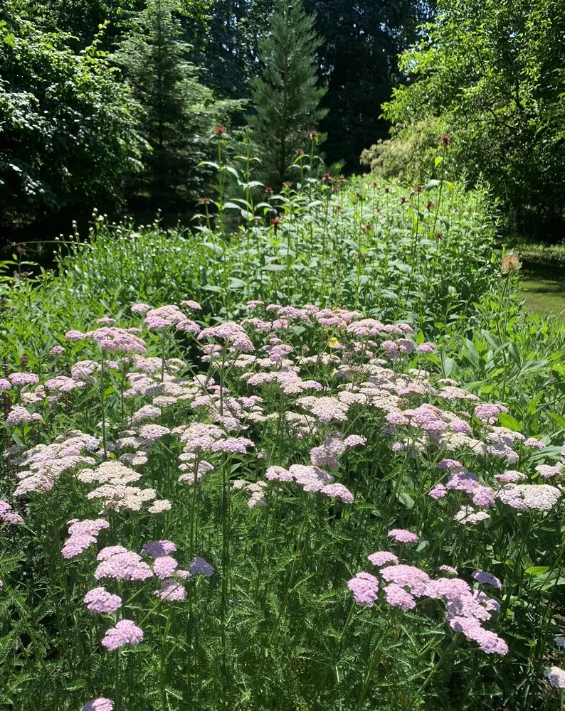 Local yard maintenance with custom design across Portland, OR - Cascade Naturescapes