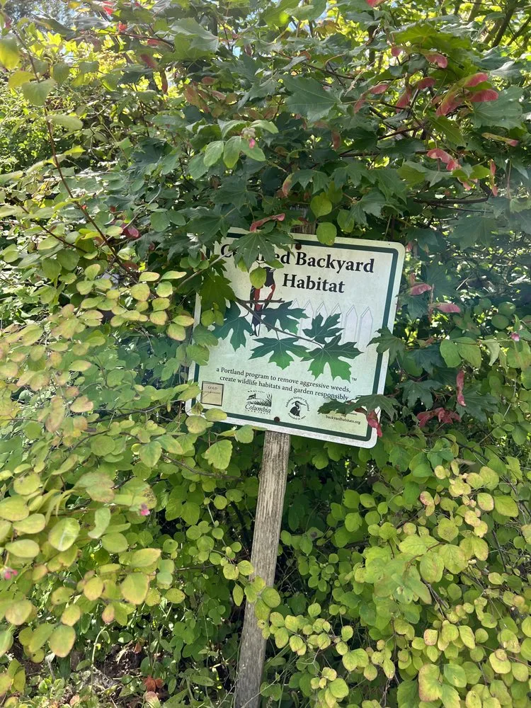 Reliable yard cleanup service for year-round maintenance across Portland, OR - Cascade Naturescapes