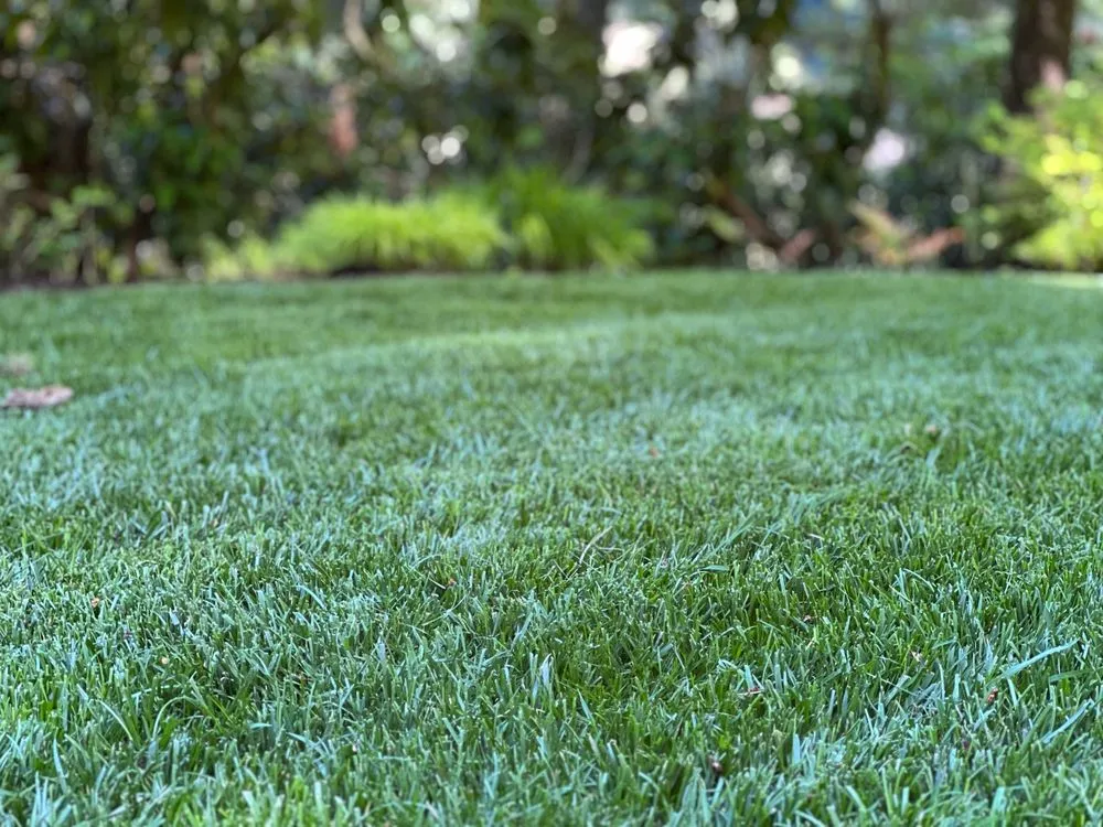 Expert lawn mowing service for homes across Marylhurst, OR - Cascade Peaks Landscaping