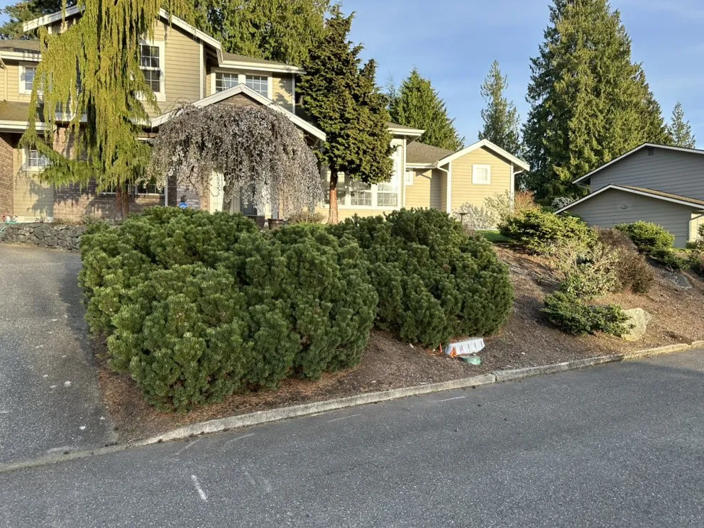 Top-rated landscape design for residential properties in Lake Stevens, WA by Cascade Property Pros