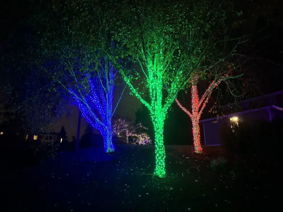 Reliable landscape design near you in Lake Stevens, WA by Cascade Property Pros