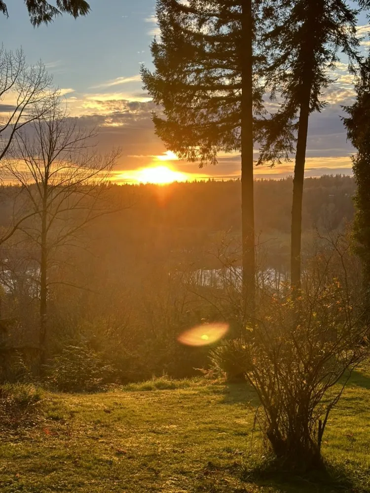 Trusted residential landscaping for homes in Lake Stevens, WA by Cascade Property Pros