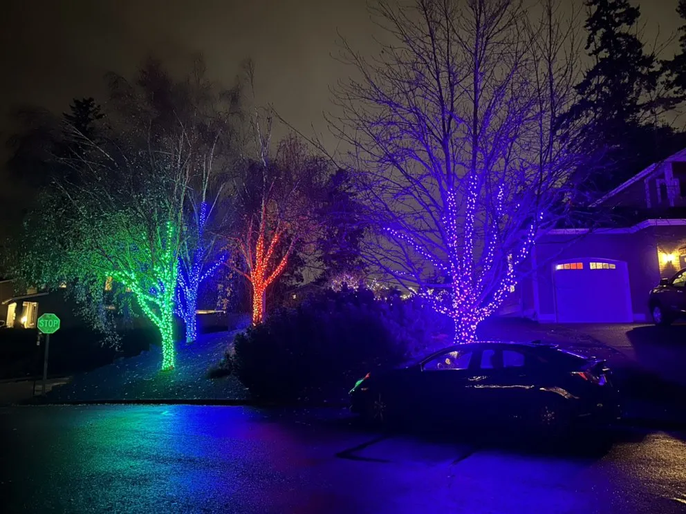 Professional lawn care service for residential properties in Lake Stevens, WA by Cascade Property Pros