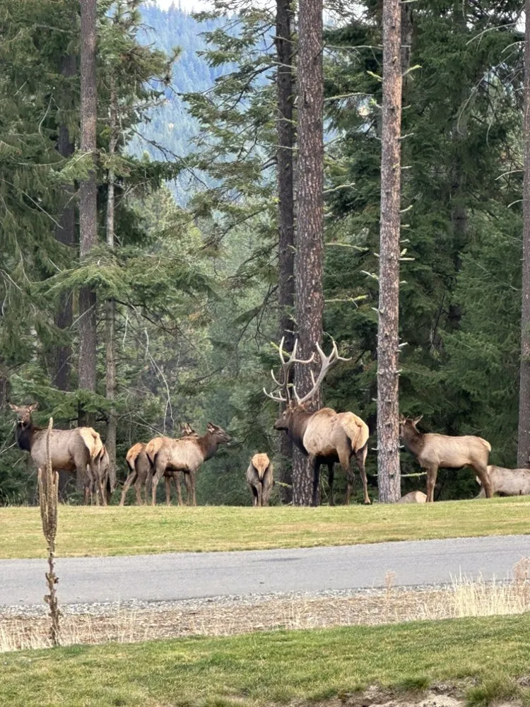 Expert residential landscaping for year-round maintenance in Lake Stevens, WA by Cascade Property Pros