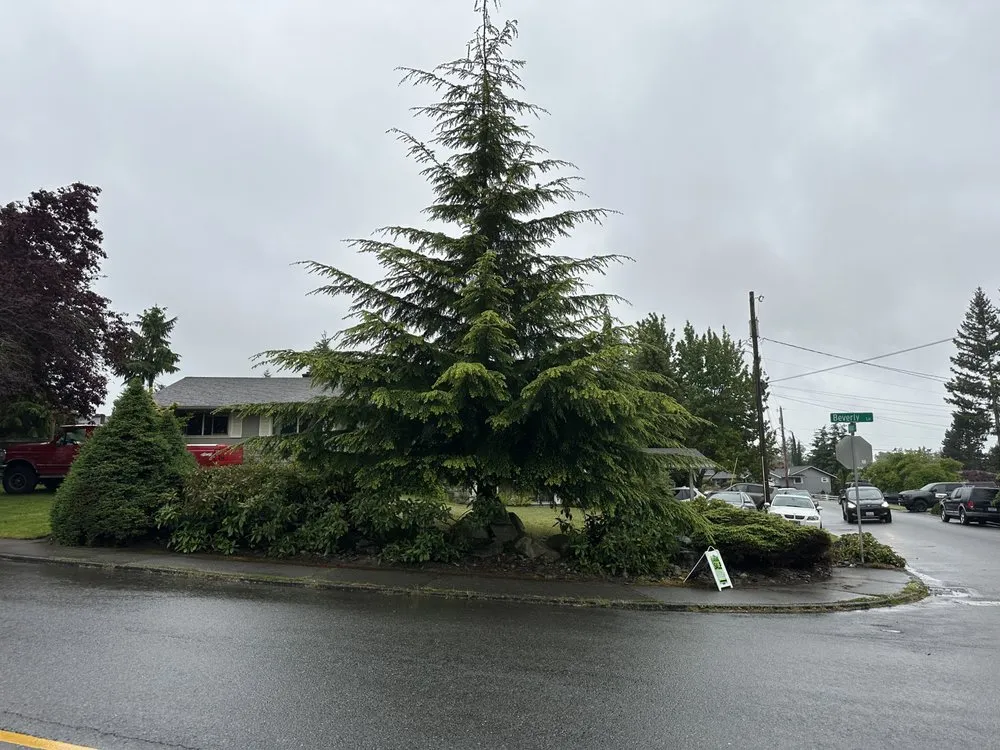 Reliable residential landscaping in Lake Stevens, WA - Cascade Property Pros