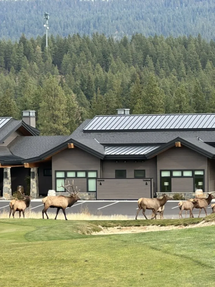 Top-rated landscape design experts serving Lake Stevens, WA - Cascade Property Pros