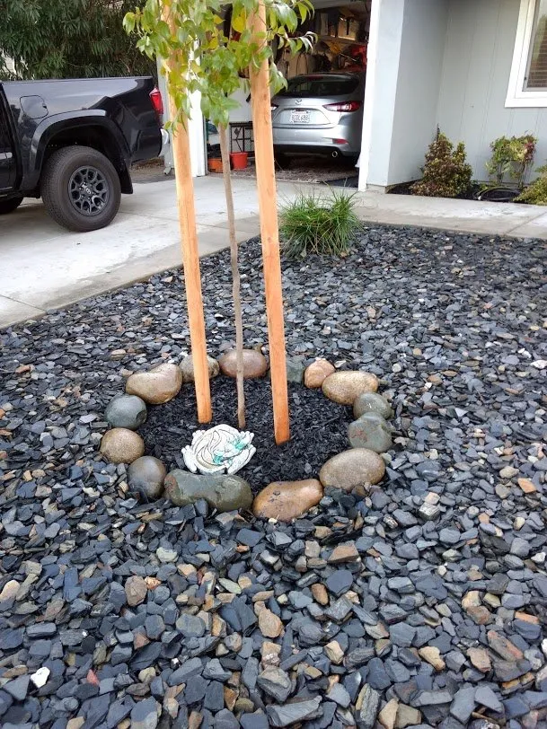 Professional yard cleanup service in Sacramento, CA - Cascade Rock