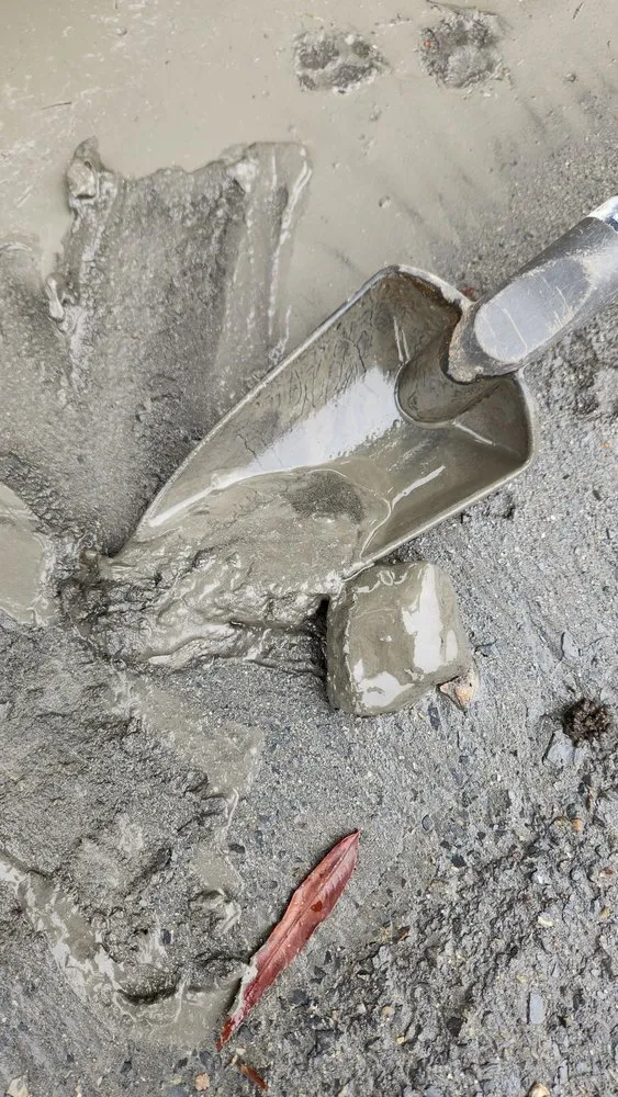 Trusted yard cleanup service in Sacramento, CA by Cascade Rock