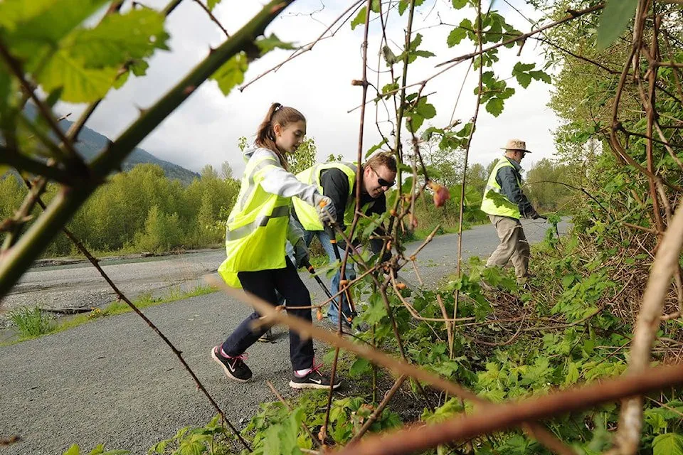 Local landscape installation in Tacoma, WA - Cascade Vegetation
