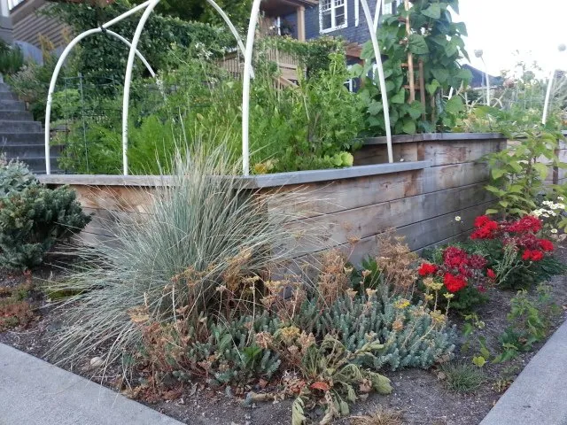 Reliable garden landscaping in Seattle, WA - Cascadia Edible Landscapes