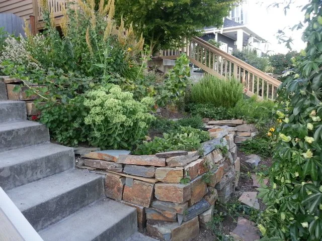 Affordable yard cleanup service experts serving Seattle, WA - Cascadia Edible Landscapes