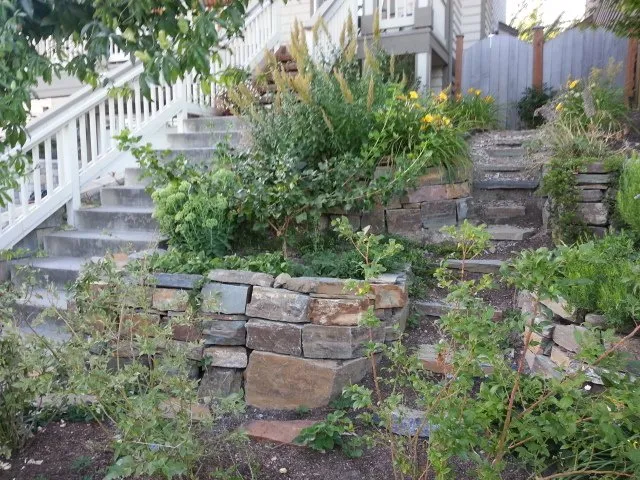 Top-rated yard cleanup service in Seattle, WA - Cascadia Edible Landscapes