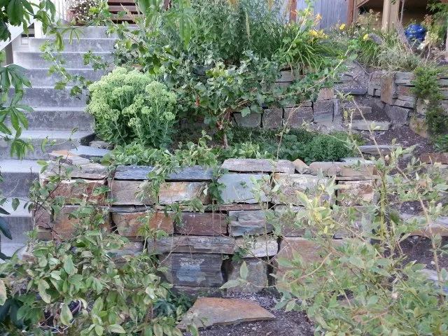 Professional landscaping services experts serving Seattle, WA - Cascadia Edible Landscapes