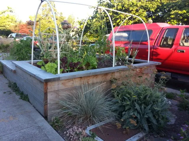 Trusted landscape installation in Seattle, WA - Cascadia Edible Landscapes