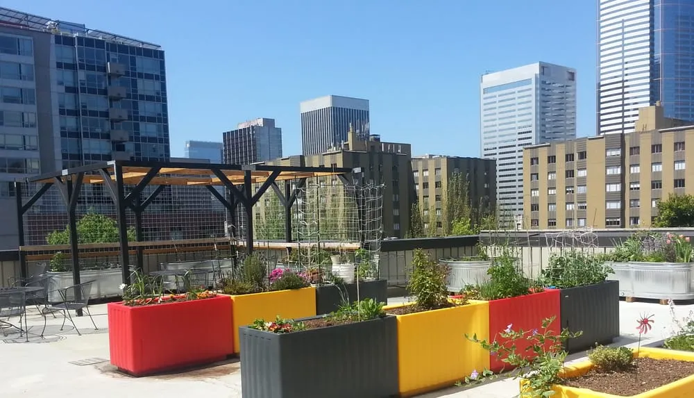 Top-rated residential landscaping in Seattle, WA by Cascadia Edible Landscapes