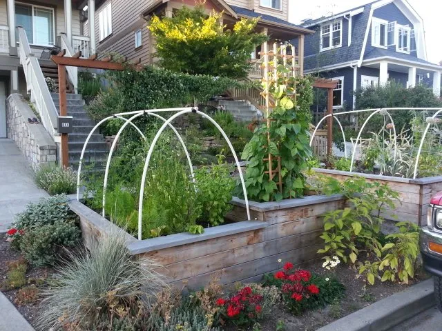 Custom residential landscaping experts serving Seattle, WA - Cascadia Edible Landscapes
