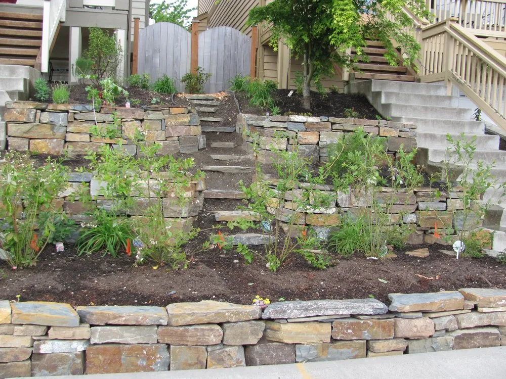 Reliable residential landscaping in Seattle, WA by Cascadia Edible Landscapes
