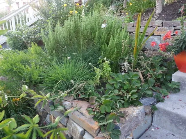 Local garden landscaping for residential properties across Seattle, WA - Cascadia Edible Landscapes