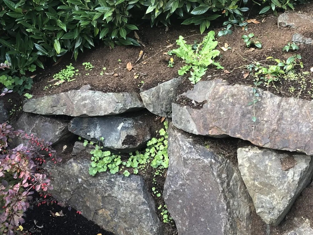 Professional yard cleanup service for outdoor upgrades across Seatac, WA - Cascadia Landscaping