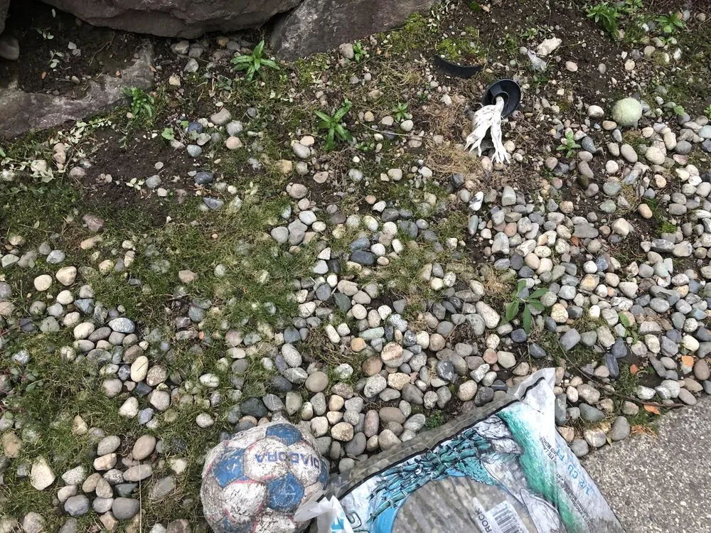 Professional garden landscaping for outdoor upgrades across Seatac, WA - Cascadia Landscaping