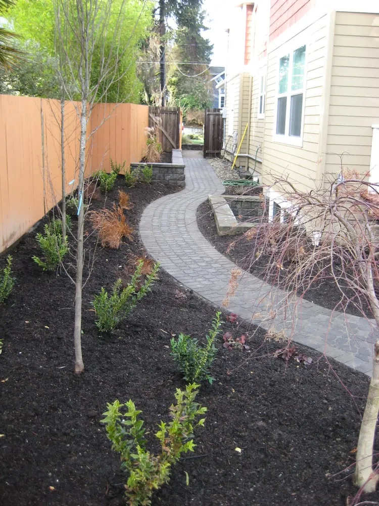 Affordable lawn care service near you in Seatac, WA by Cascadia Landscaping