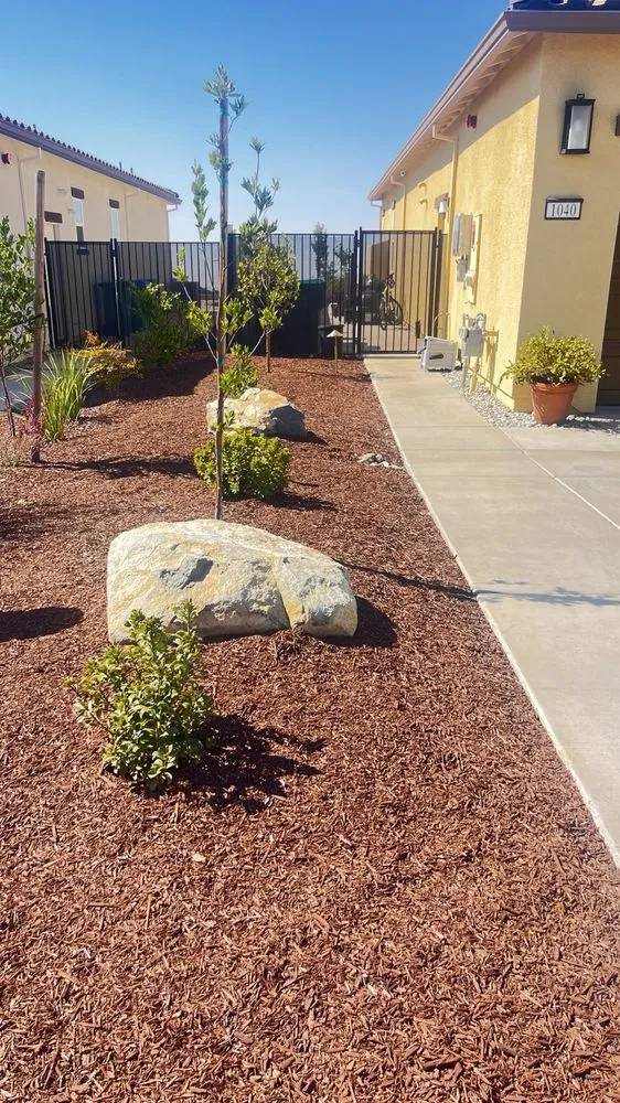 Professional lawn mowing service for outdoor upgrades in El Dorado Hills, CA by Cascadian Landscape