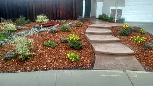 Professional landscape installation in Roseville, CA by Cascading Falls