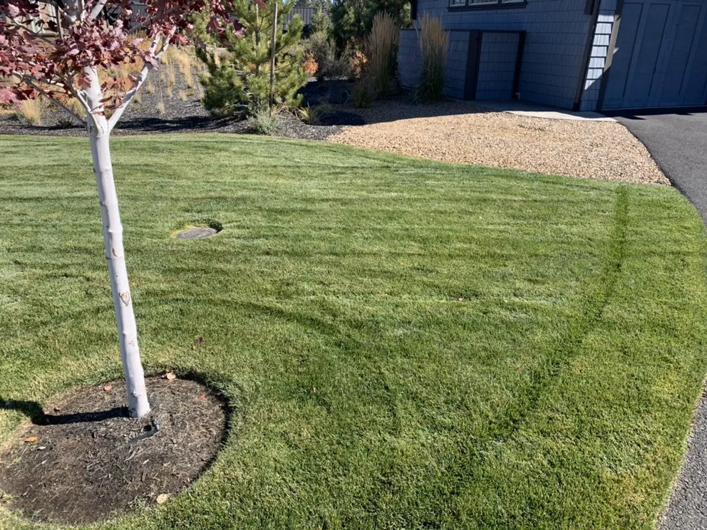 Top-rated lawn mowing service for homes across Bend, OR - Cascaping Land Maintenance